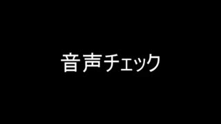 アラサーが2人でマリオワールド実況してみた Part10