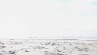 【stre†m】打上花火(ネクシアver.)【踊ってみた】