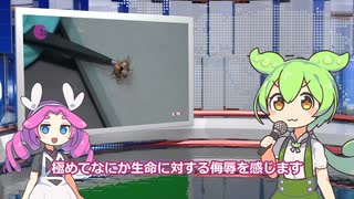 7月20日 世界のおもしろB級ニュース【全5本】【ずんだもん】