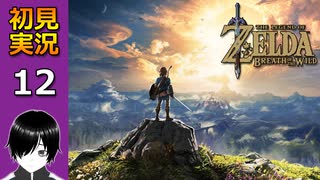 【初見】(^p^)「ゼルダの伝説　ブレス オブ ザ ワイルド」を実況プレイしてみた！(パート12)【英語版】