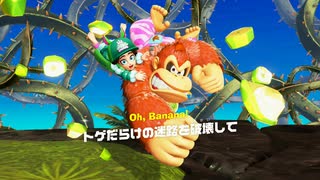 【プレイ動画】ドンキーコング バナンザ Part15
