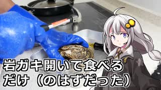 釣れなくても料理！岩牡蠣（生）！【VOICEROIDキッチン】