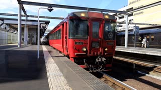 【移動奇行】2025年上半期の日本の鉄道　ドリームにちりん　サロンカーなにわ　キハ40系列　ほか