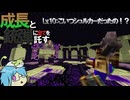【Minecraft】Lv.10:こいつシュルカーだったの！？【成長と銃弾にすべてを託す】