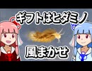【ウミウシ解説】ギフトはヒダミノ　風まかせ【琴葉姉妹の磯遊び】