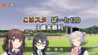 こはるりスタリオン　第120レース
