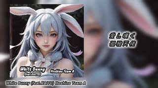 【KAITO】White Bunny 【オリジナル曲】
