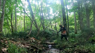 エゾ鹿の止め刺しに失敗しました