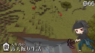 蔵入り刀の露天掘り生活＃44