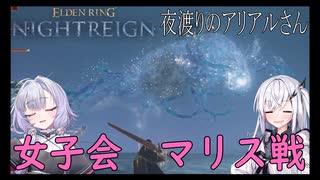 【ナイトレイン】夜渡りのアリアルさん　７話【アリアル実況】