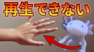 人間が四肢を再生できない理由【解説動画】