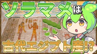 ずんだもんのたべもののヒミツ　-ソラマメのヒミツ-