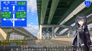 【名岐道路】国道22号 名古屋 → 岐阜 Part1/1【ミリアルさんと国道走破】