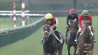 2025 函館2歳ステークス キング姐さん,来日即重賞Ｖ