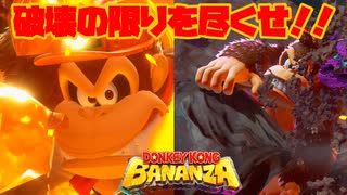破壊こそ！人が一番求めているものなのだよ！気分爽快！破壊ゲームのドンキーコングバナンザ！【PART1】