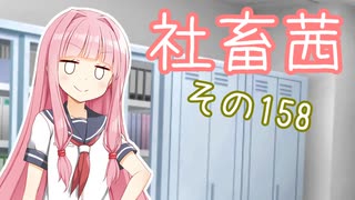 社畜茜その158【ソフトウェアトーク劇場】