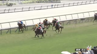 オブラプリーマ　2歳新馬