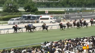 ベレシート　2歳新馬