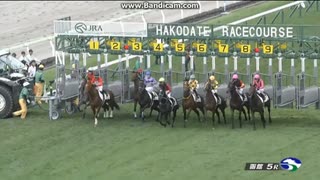 アーレムアレス　2歳新馬