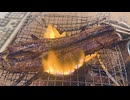 スペシャルなうなぎ焼いてみた（ハイボール）