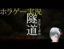 ホラゲー実況　隧道