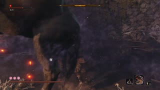 sc^イカれた生放送(SEKIRO)　２６－５