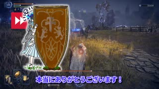 【エルデンリングナイトレイン】大 盾 復 讐 者 ち ゃ ん【もち子さん実況】