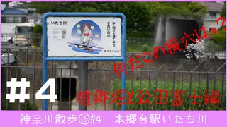 【横浜市栄区】いたち川の秘密：横穴と支流探検４　椎郷堀と公田富士【voiceroid】【結月ゆかり】