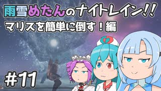 【ELDEN RING NIGHTREIGN】雨雪めたんのナイトレイン！マリスを簡単に倒す！編#11【VOICEVOX実況】