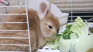 3連休なので