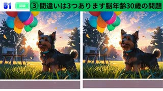 【！脳トレ+育脳に最適☆まちがい探しタイム！ 】＃227