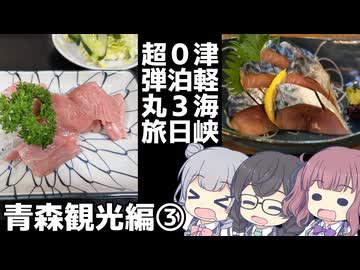 津軽海峡 0泊3日超弾丸旅　中編③～夜の青森を往く～