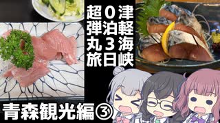 津軽海峡 0泊3日超弾丸旅　中編③～夜の青森を往く～