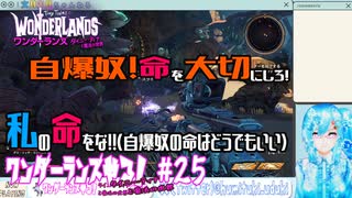 【実況】ワンダーランズやる！【25】