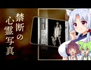 禁断の心霊写真【ホラーゲーム実況】【ホラーボイロ実況】【任天堂switch】