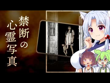 禁断の心霊写真【ホラーゲーム実況】【ホラーボイロ実況】【任天堂switch】