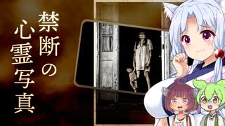 禁断の心霊写真【ホラーゲーム実況】【ホラーボイロ実況】【任天堂switch】