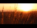 Getting Late (original song, Vocaloid, Taku & Jessica)