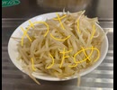もやし　炒め　ニンニク　塩コショウ　醤油　サラダ油　料理