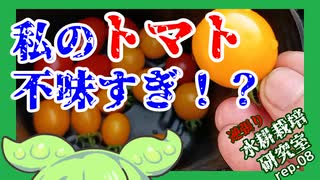 「私のトマト不味すぎ！？」逆張り水耕栽培研究室rep.08