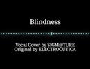 【歌ってみた】Blindness／ELECTROCUTICA【Covered by SIGM@TURE】