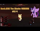 【Sonic.EXE The Disaster REBORN / Sonic.EXE　災害】 Walkthrough Gameplay #014 2025/07/18