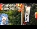 【琴葉姉妹車載】関広見まつりの盆踊りを予習しに行く。