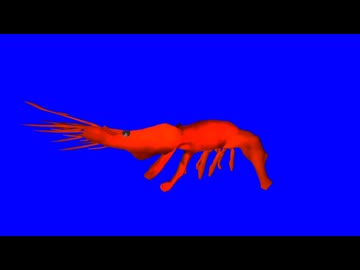 【合作単品】海老先輩BB