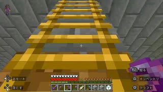 【マインクラフト】ソロクラ #338