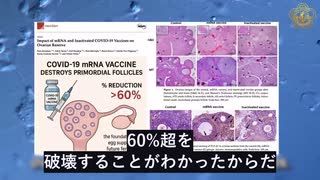 COVID-19 mRNAワクチンによる人口減少、2030年までに1億人超に