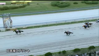第8回日本海スプリント（インティ賞） プレシオーソ