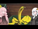【International Space Banana】紲星あかりは宇宙バナナになりたい　#3(終)【A.I.VOICE実況】