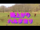 雨上がりハルダヨリ