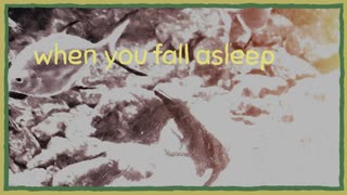 when you fall asleep / 渓谷のくま feat. Hayden
